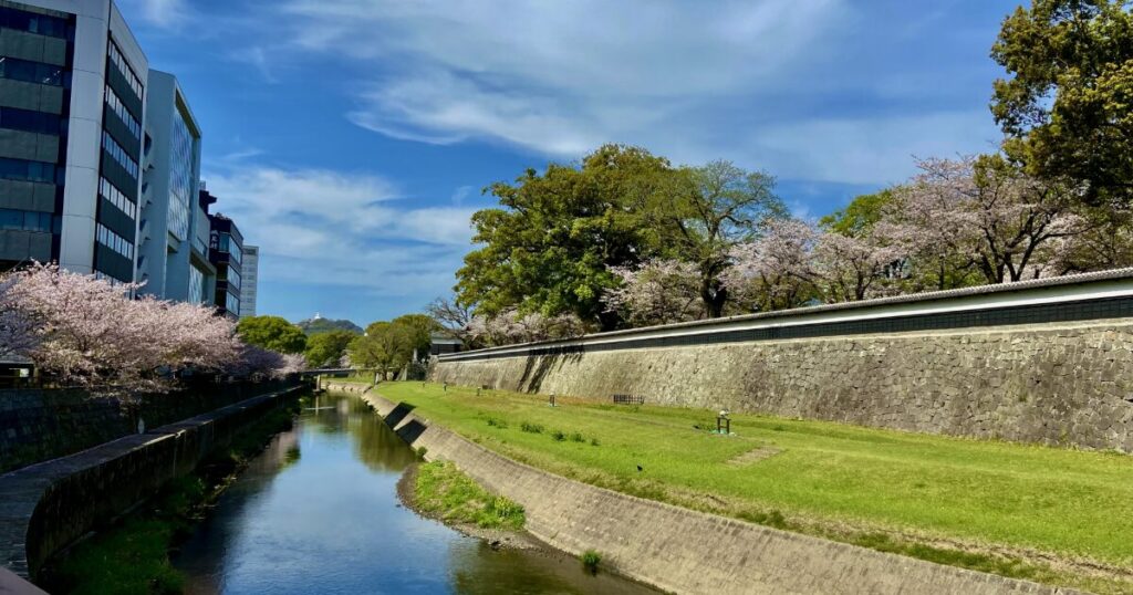 熊本城の外堀沿いに咲く桜並木の風景